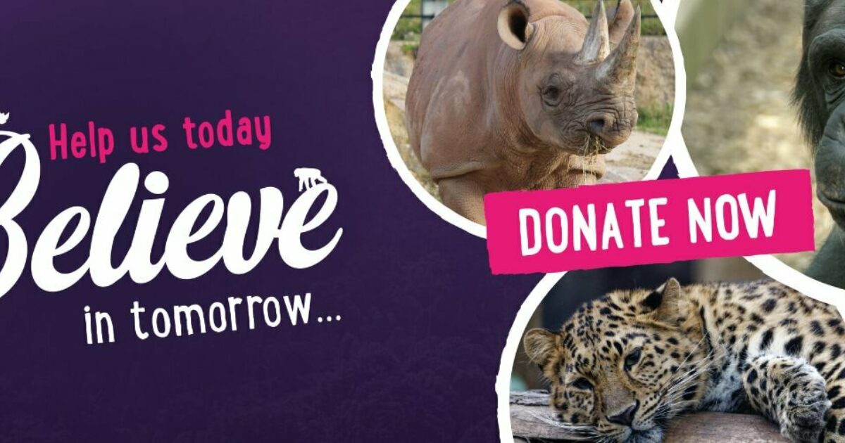 Twycross Zoo Voucher & Discount Codes, March 2024 • GetFreeCoupons